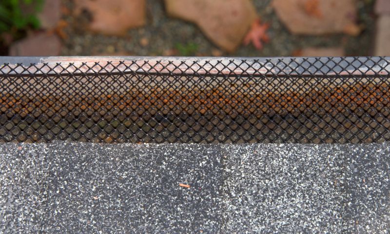 Gutter Mesh Installation in Arvada, CO