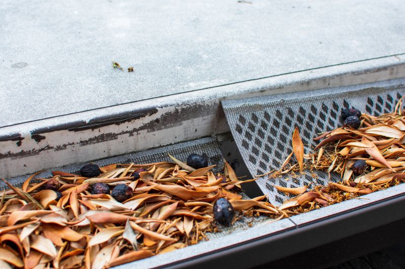 Gutter Mesh Installation in Everett, WA